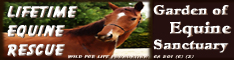 Lifetime Equine Rescue/ Garden of Equine Sanctuary